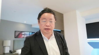 programme是什么意思中文翻译