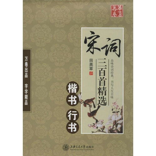 宋词三百首精选:苏轼《念奴娇·赤壁怀古》