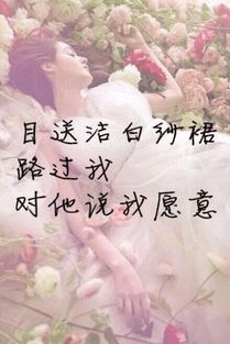 《如果你愿意》歌词