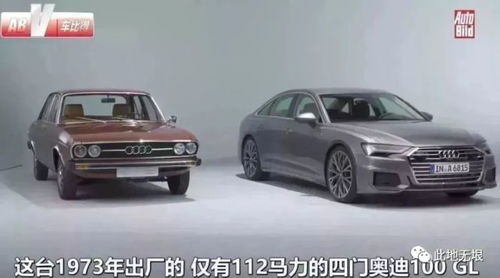 全力的意思和造句