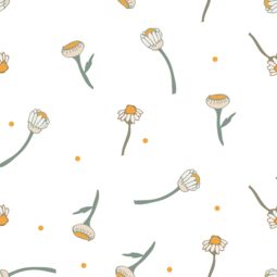 petals linger about，petals on the moon