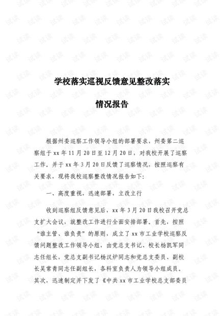 重点整改事项落实情况报告