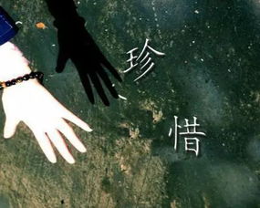 且行且珍惜的拼音，珍惜的拼音是什么