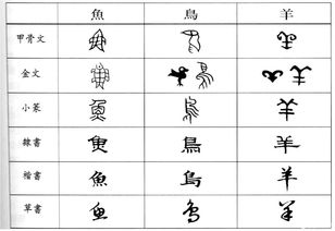 中国一共有多少个汉字?