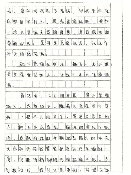 描写冬天的作文400字