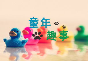 美好的回忆作文开头结尾精彩，美好的回忆作文开头结尾六年级