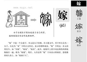 稼的拼音组词，婷的拼音