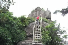 白石岭风景区营业时间，池州白石岭风景区