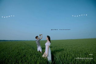 我的夏天英语，我的夏天像电影什么意思