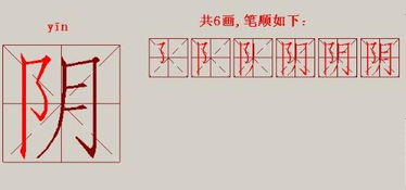 阴笔顺组词，阳笔顺组词