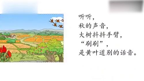 听听秋的声音课文前三个小节具体描写了秋天的哪些声音，听听秋的声音课文原文人教版