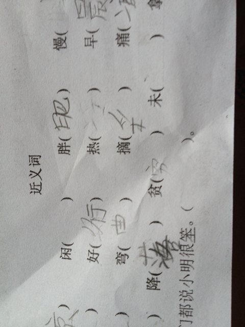 我来写近义词。翎毛