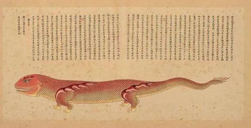 鼍是什么意思