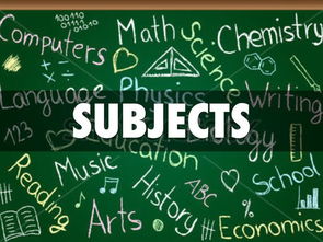 subject怎么读