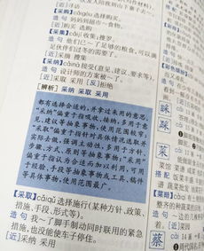 相信的反义词是什么 标准答案，痛苦的反义词