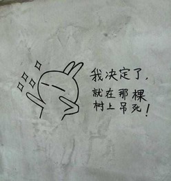 天涯何处无芳草下一句?