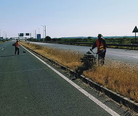 爱路护路手抄报内容，爱路护路宣传图片