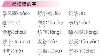聚怎么组词语2个字，聚怎么组词组两个词语