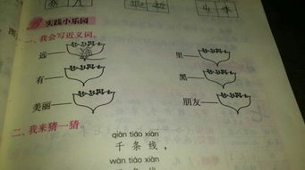 秀丽近义词是什么词语，秀丽近义词是什么 二年级