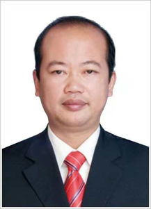 汪辉的成就及荣誉