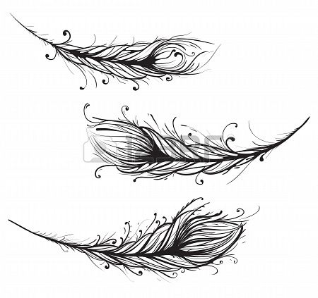 feather怎么读