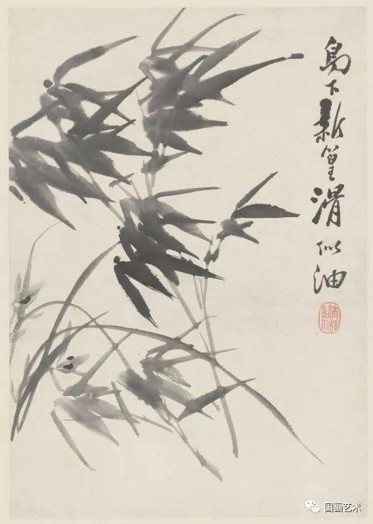 《精灵宝可梦》中的竹兰的服务是什么?