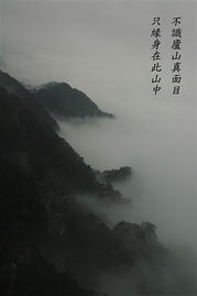 “不识庐山真面目”的全诗是什么?