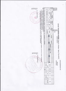激动造句子三年级，激动造句10个字