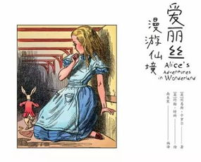 寥寥可数的意思