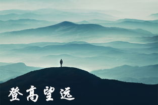 形容登高望远的诗句，杜甫登高望远的诗句