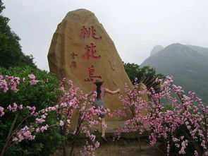 桃花岛旅行攻略舟山桃花岛上路旅行攻略