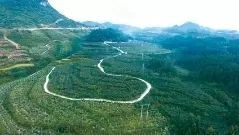 请问一下,有哪位朋友知道四川古蔺县大村镇最近几天的天气?