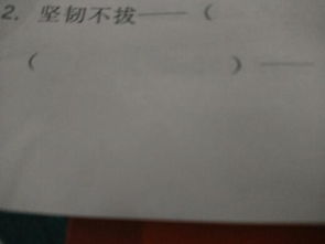 春字开头的四字词语