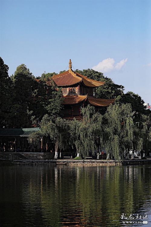 “大观楼”的简介是什么?