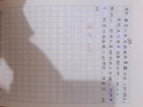 妈妈我想对你说优秀作文500字12篇