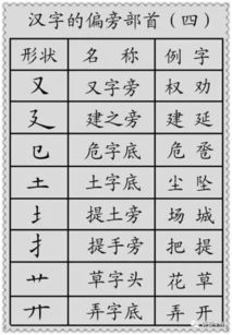 解部首和拼音，解部首是什么偏旁再查几画