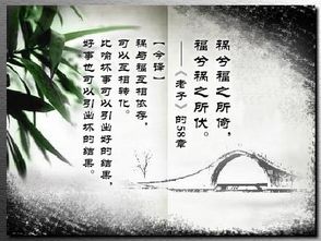 福祸所依祸兮福所倚是什么意思