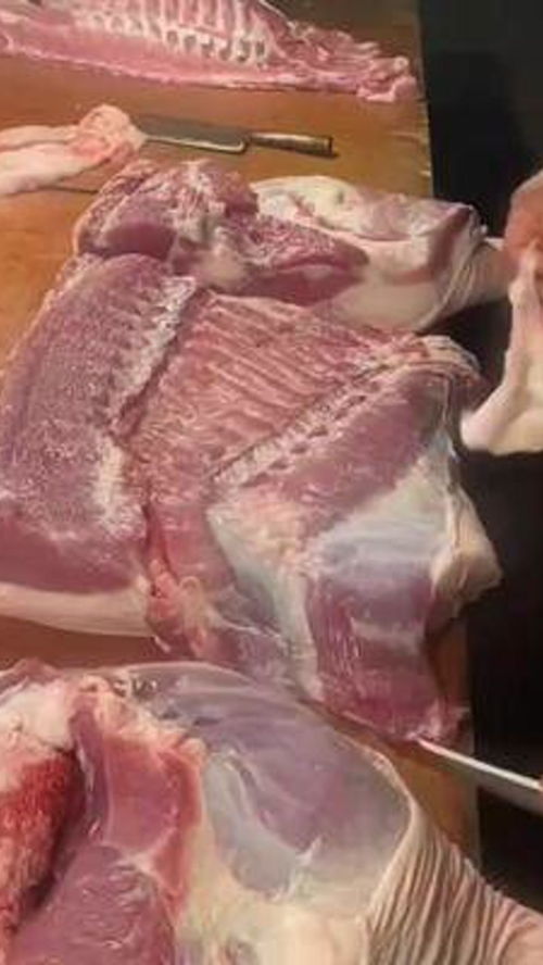 肉嘟嘟的解释