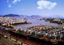 沈家门渔船码头的海鲜几点上市