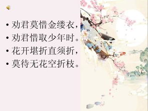 金缕衣古诗意思拼音，金缕衣古诗意思堪