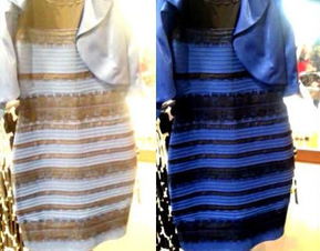 蓝黑裙子图片，紫金裙子蓝黑裙子