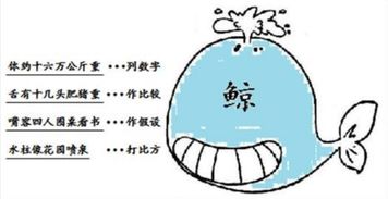 记叙表达方式的作用，表达方式的作用答题模板
