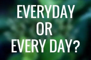 everyday中文意思是什么