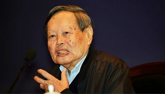 杨振宁简介20字左右，物理专家杨振宁简介