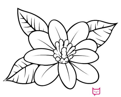 花朵简笔画简单又好看涂色，花朵简笔画简单又好看 漂亮