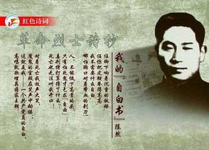 《我的自白书》作者是谁?