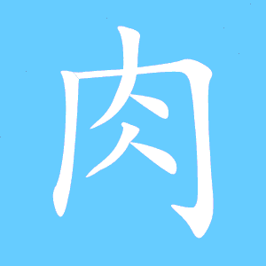 肉字的笔顺
