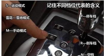 油门叫什么制动踏板，摩托车的油门叫什么