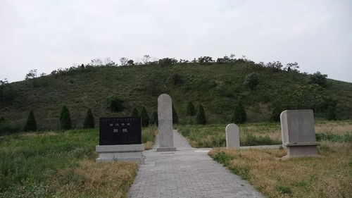 阳陵虎符，阳陵泉准确位置图片及作用