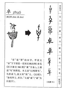卓怎么读 拼音
